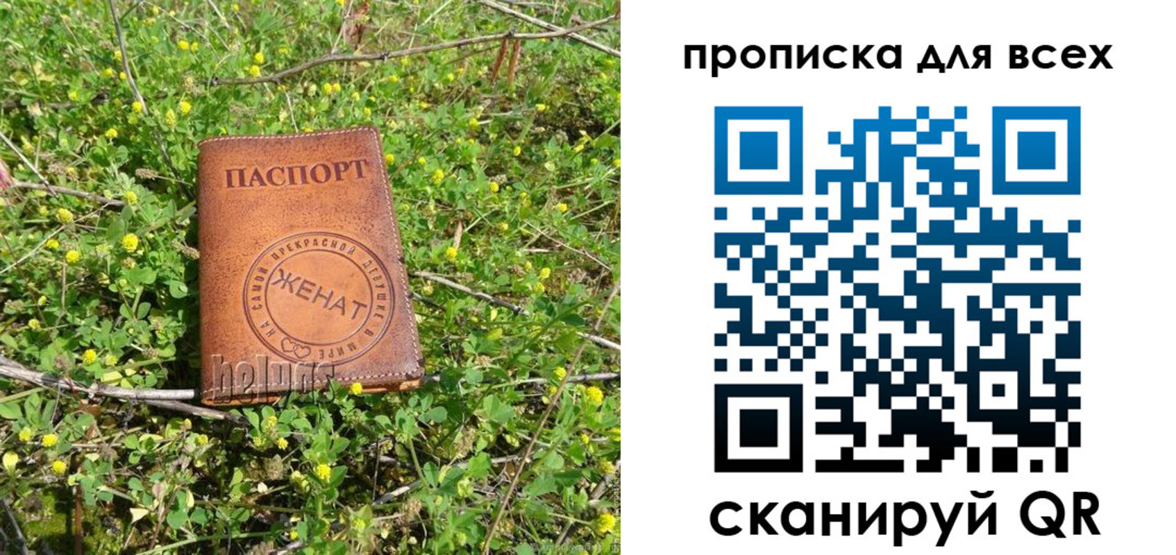 прописка поиск в Пензенской области